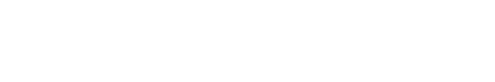 Arcadia Executive Business School